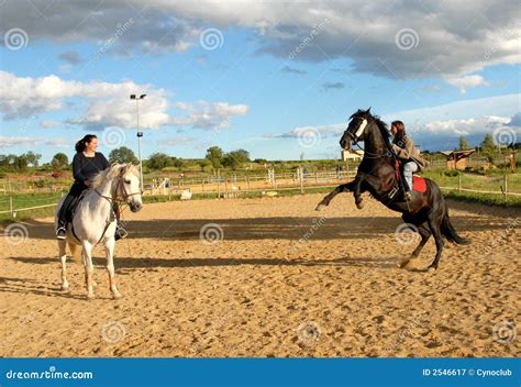 folladas por caballos|Elige entre una amplia selección de vídeos de sexo con caballos; .